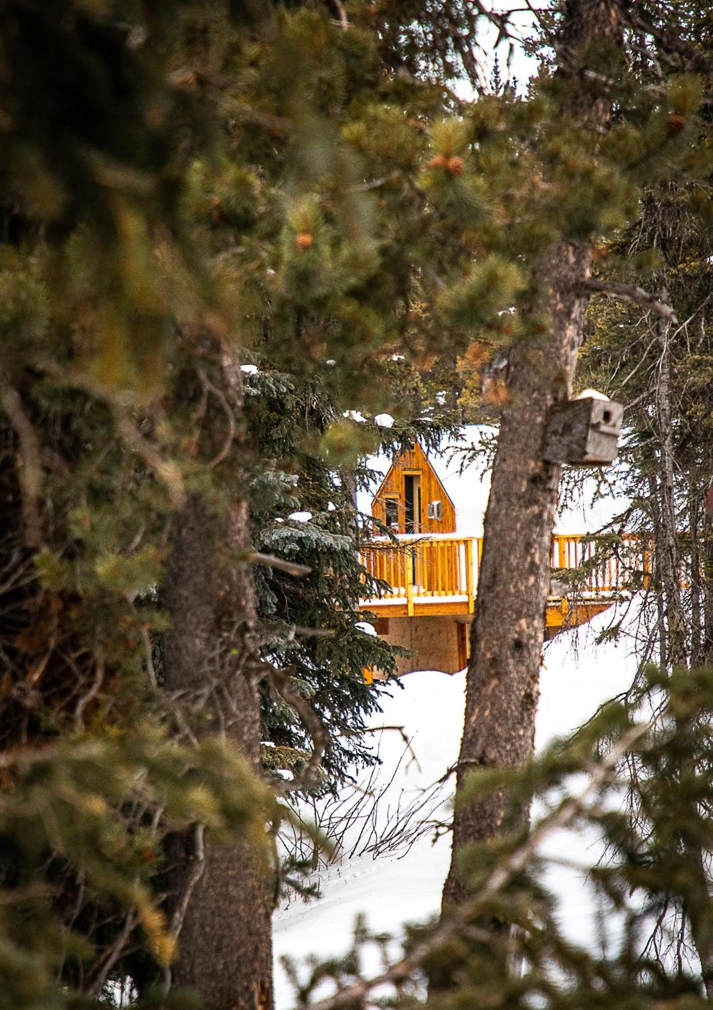 Mount Engadine Lodge Kananaskis Bagian luar foto